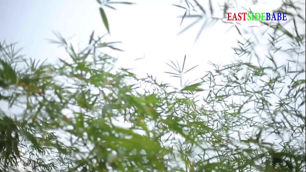 Holiday groups sex in the forest