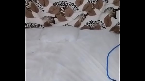 Arabic six videos Now