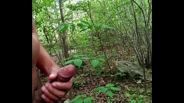 Que gostoso punheitar no mato Brasil