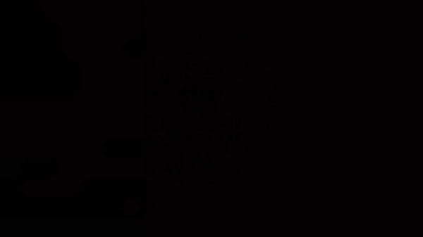 Bambolina helped us to decorate the room for a party.