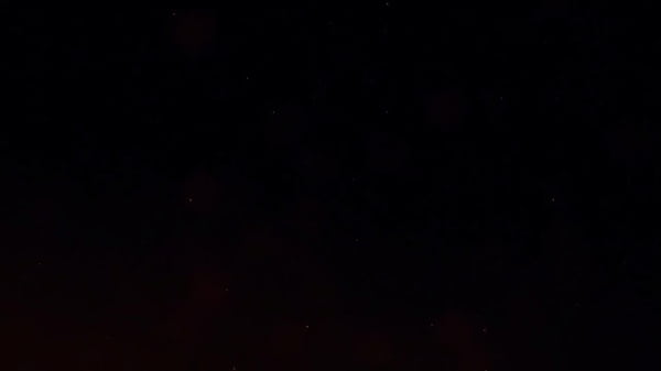 Alisha Adams POV Fun with Marcorel