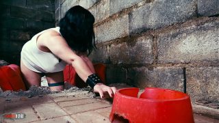 French MILF Hedone wild Fucked and Sodomized by Evil Clown Terry Kemaco