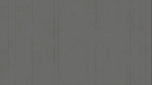 Allie Addison Flaunts Her Panties Before Riding Daddies Dick